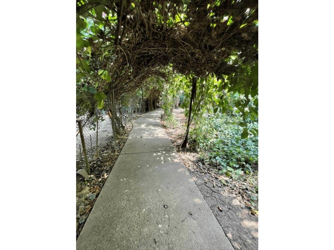 Lote en arriendo en Cartagena De Indias, Cartagena, 20 m² · foto 7 de 18