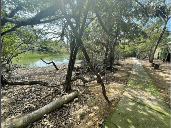 Lote en arriendo en Cartagena De Indias, Cartagena, 20 m² · foto 10 de 18