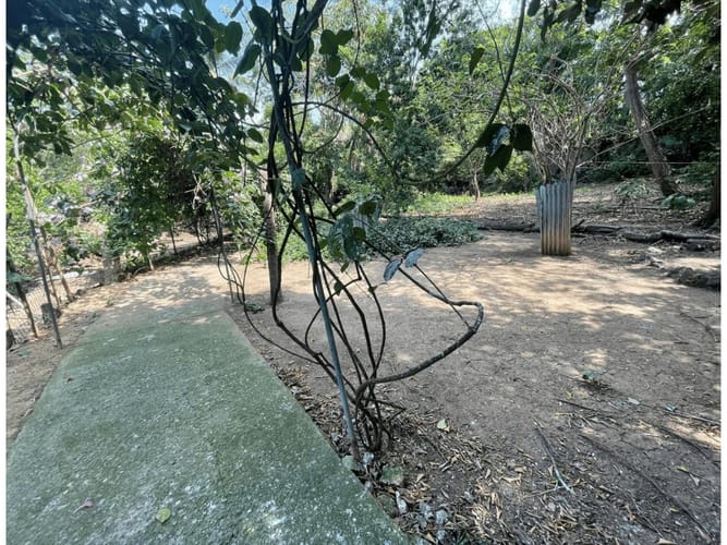 Lote en arriendo en Cartagena De Indias, Cartagena, 20 m² · foto 11 de 18