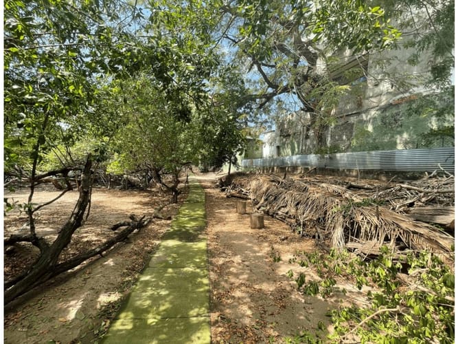 Lote en arriendo en Cartagena De Indias, Cartagena, 20 m² · foto 13 de 18