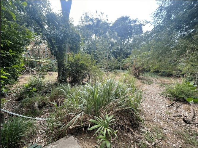 Lote en arriendo en Cartagena De Indias, Cartagena, 20 m² · foto 18 de 18