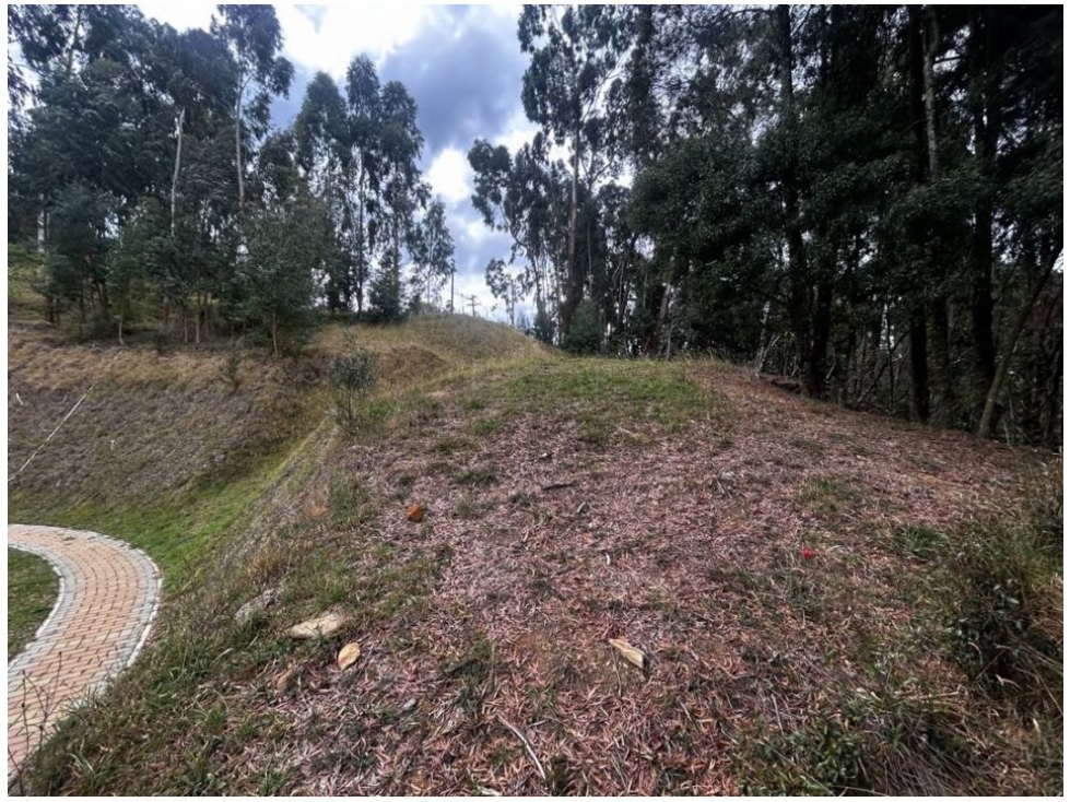 Land in Vía Las Palmas (1500 m²) for Sale - 2