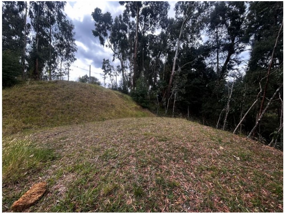 Land in Vía Las Palmas (1500 m²) for Sale - 3