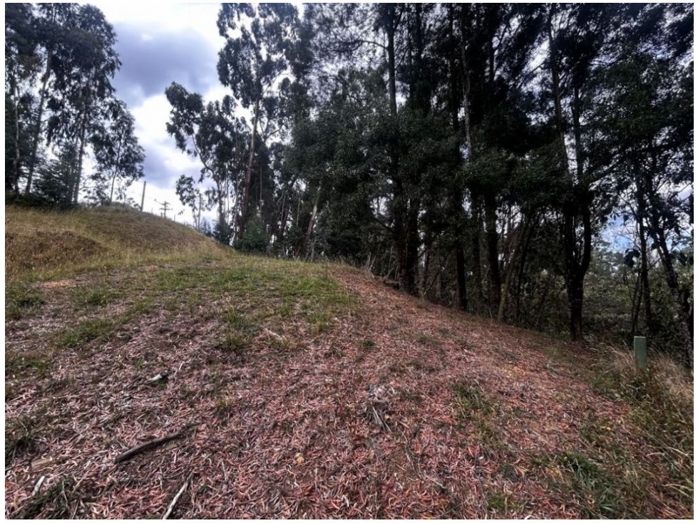 Land in Vía Las Palmas (1500 m²) for Sale - 4