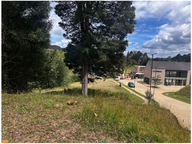 Lote en venta en Vía Las Palmas, Envigado, 1500 m² · foto 6 de 9