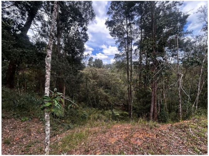 Lote en venta en Vía Las Palmas, Envigado, 1500 m² · foto 7 de 9