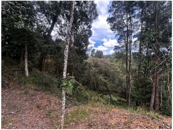 Lote en venta en Vía Las Palmas, Envigado, 1500 m² · foto 9 de 9