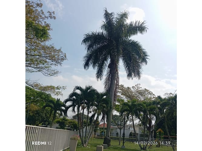 Casa de 3 alcobas en venta en Alfaguara, Jamundí, 300 m² · foto 20 de 24