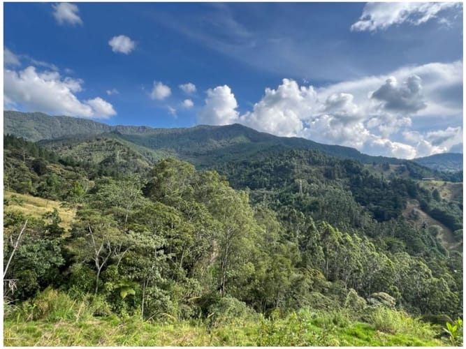 Lote en venta en El Salado, Envigado, 1958 m² · foto 4 de 5