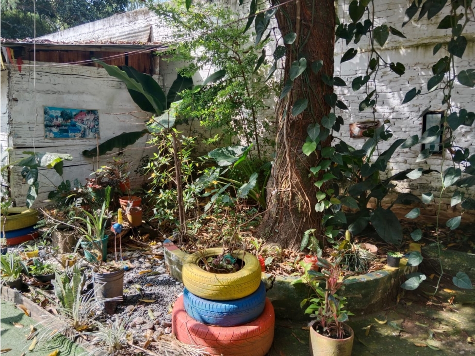 Local en venta en Ciudad Melendez, Cali, 250 m² · foto 11 de 13