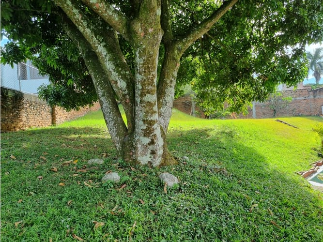 Casa de 4 alcobas en venta en Ciudad Jardin, Cali, 385 m² · foto 8 de 24