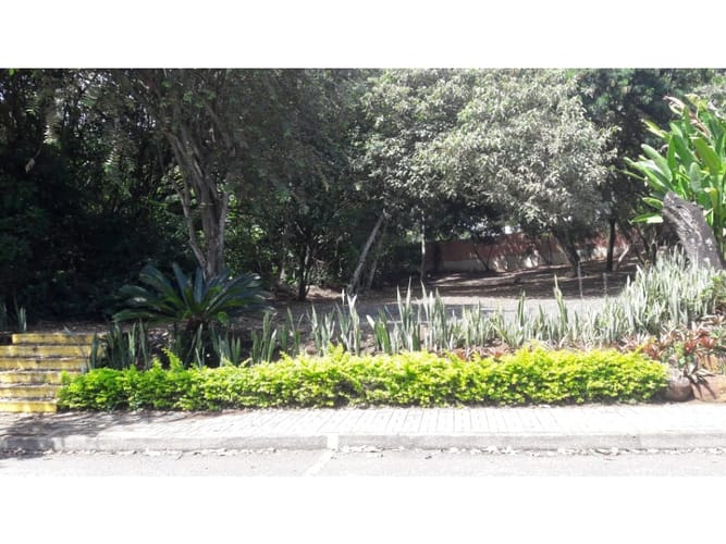 Lote en venta en Pance, Cali, 3145 m² · foto 5 de 7