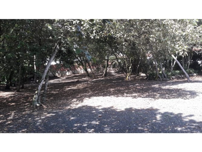 Lote en venta en Pance, Cali, 3145 m² · foto 7 de 7