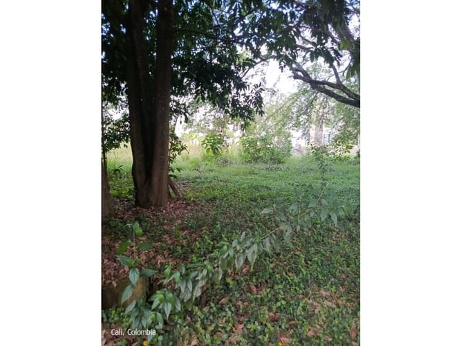 Lote en venta en Conjunto Residencial Umbria, Cali, 3300 m² · foto 10 de 12