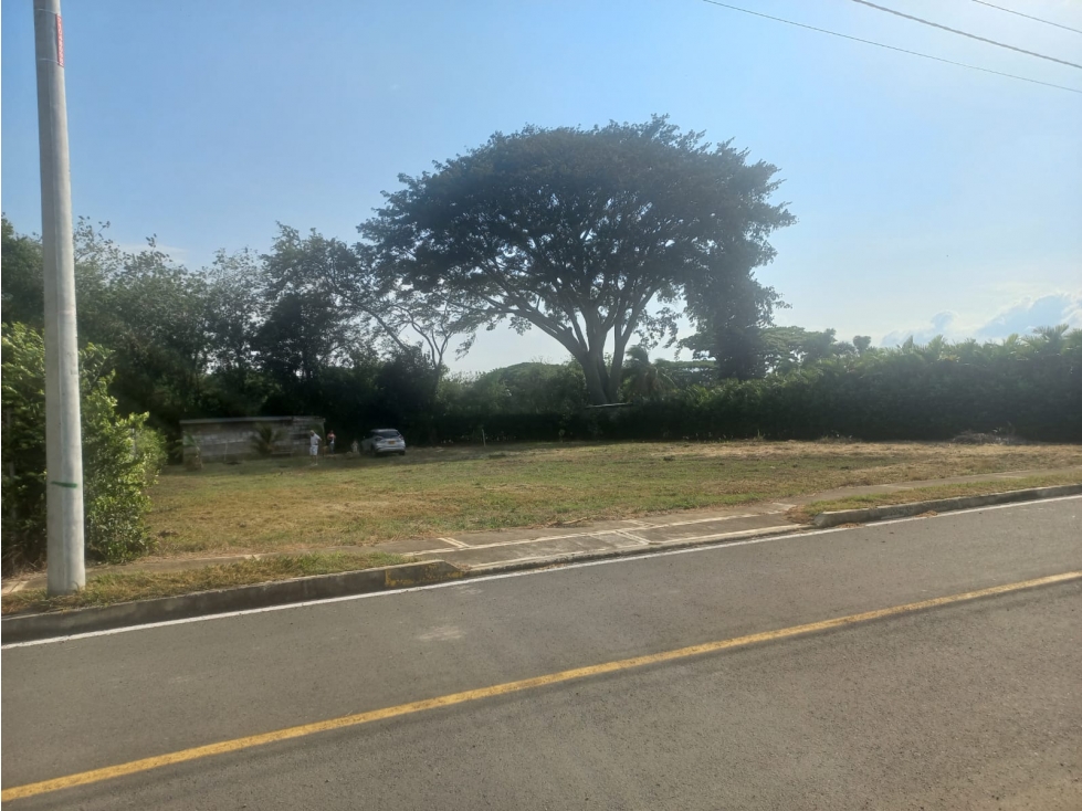 Lote en venta en Rozo, Palmira, 1500 m² · foto 9 de 15