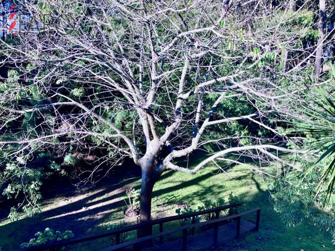 Casa en alquiler anual frente a la Laguna en Club del Lago · Foto 8