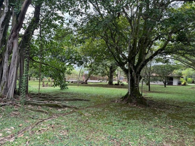 Casa de 3 alcobas en arriendo en San Isidro, Jamundí, 342 m² · foto 3 de 24