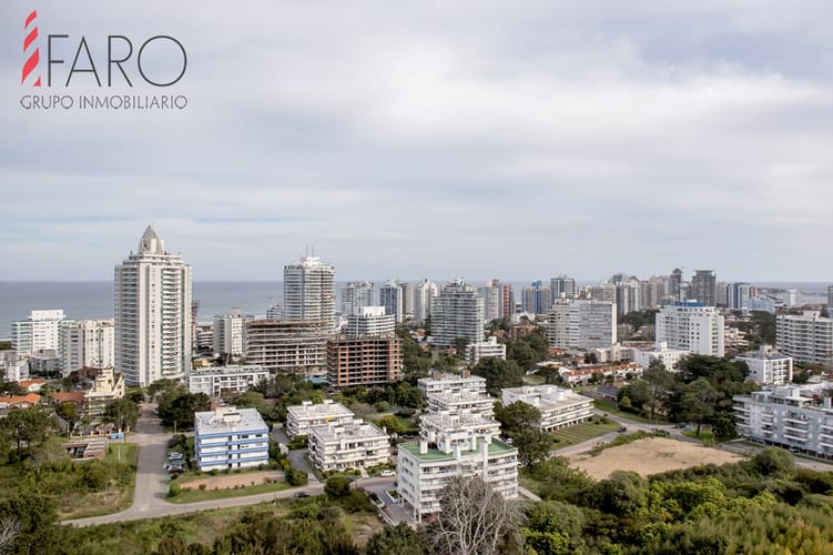 Foto 3 de 30
