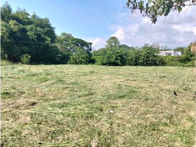 Lote en venta en La Morada, Jamundí, 1500 m² · foto 2 de 3