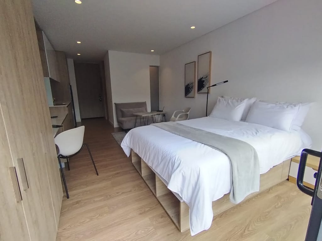 Apartaestudio en arriendo en Gran America, Bogotá · foto 2 de 12