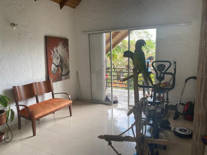 Finca en venta en Porerito, Jamundí, 168 m² · foto 12 de 22