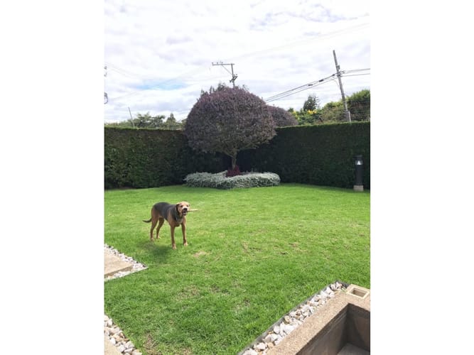 Casa de 3 alcobas en venta en Bojaca, Chía, 320 m² · foto 19 de 24