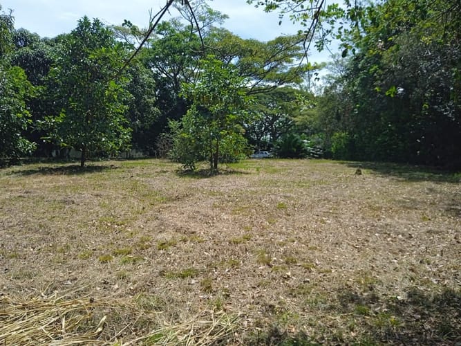 Finca en venta en La Independencia, Cali, 200 m² · foto 3 de 7