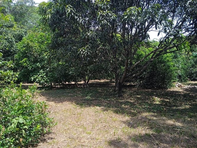Finca en venta en La Independencia, Cali, 200 m² · foto 4 de 7