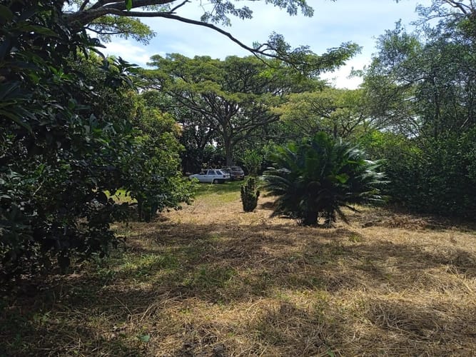 Finca en venta en La Independencia, Cali, 200 m² · foto 7 de 7