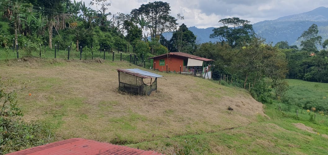 Finca en venta en La Florida, Pereira, 38000 m² · foto 20 de 24