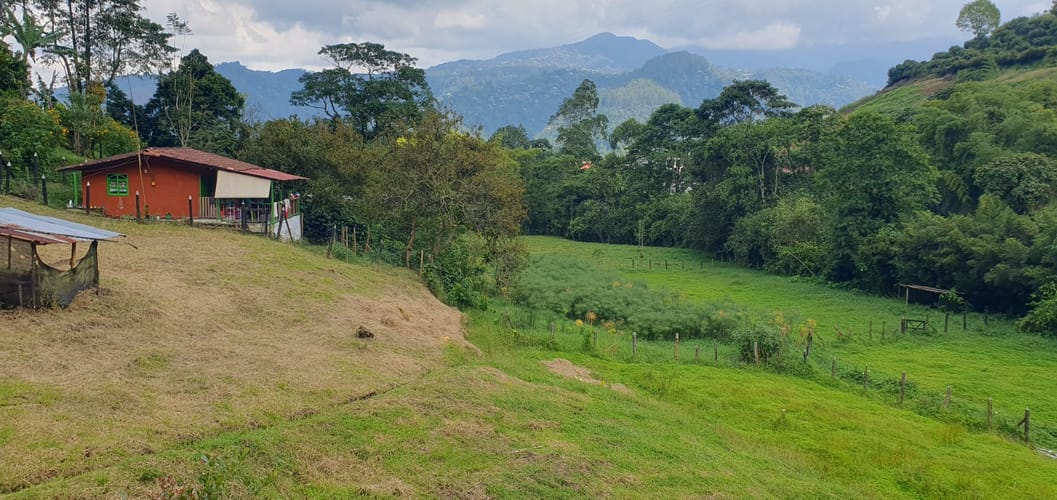Finca en venta en La Florida, Pereira, 38000 m² · foto 18 de 24