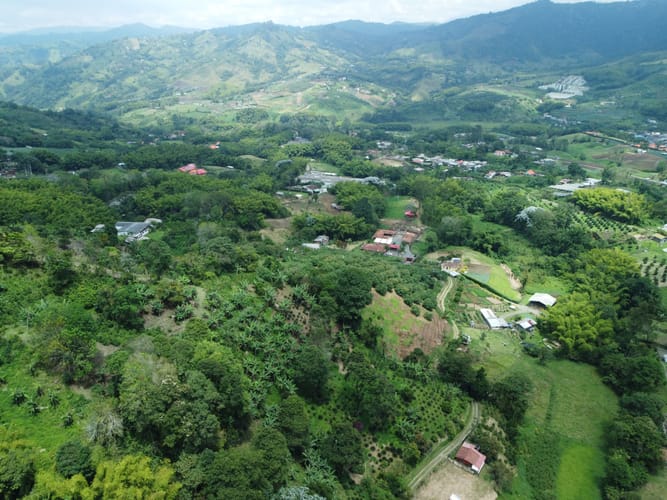 Finca en venta en La Florida, Pereira, 38000 m² · foto 21 de 24