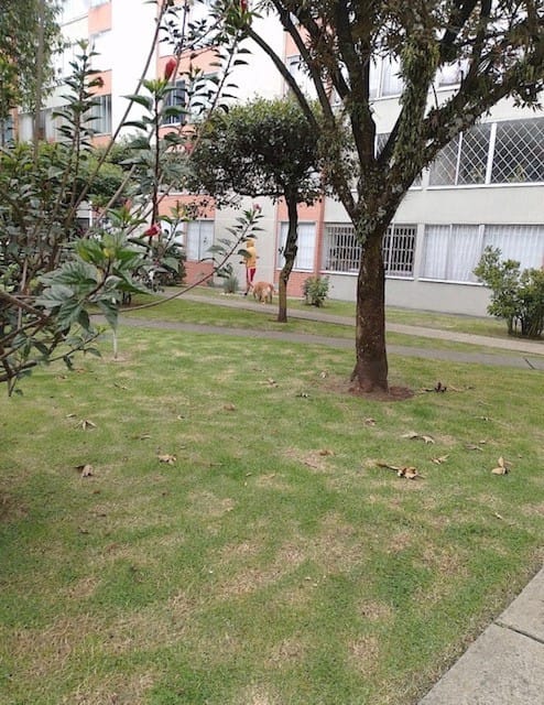 Apartamento de 3 alcobas en venta en Prado Veraniego, Bogotá, 72 m² · foto 11 de 15
