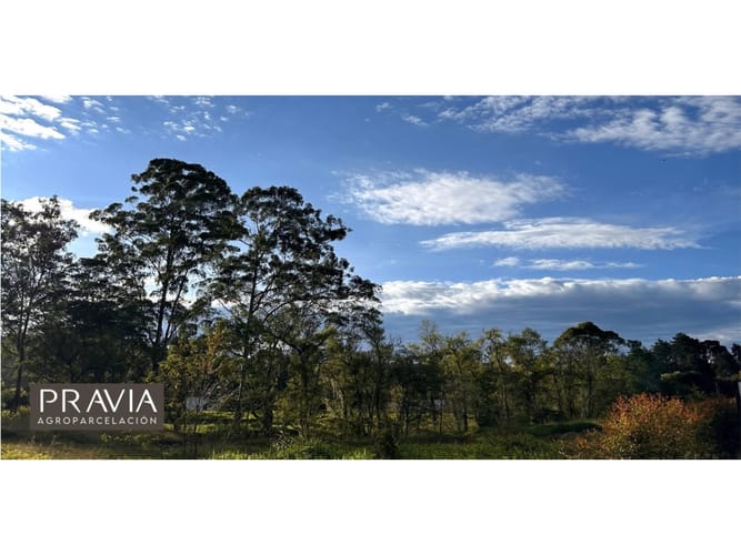 Lote en venta en El Porvenir, Rionegro, 1731 m² · foto 5 de 15
