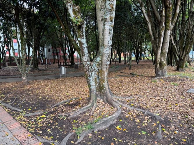 Apartamento de 3 alcobas en venta en Icata, Bogotá, 76 m² · foto 18 de 20