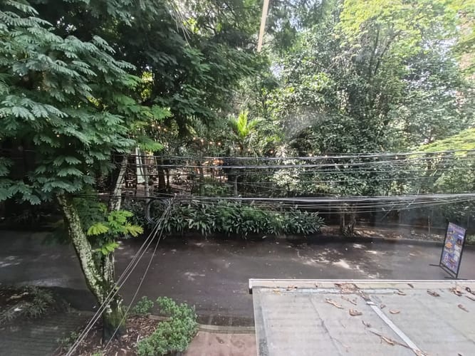 Local en arriendo en La Ceja, 55 m² · foto 8 de 9