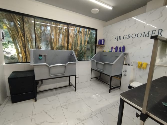 Local en arriendo en El Poblado, Medellín, 50 m² · foto 8 de 14