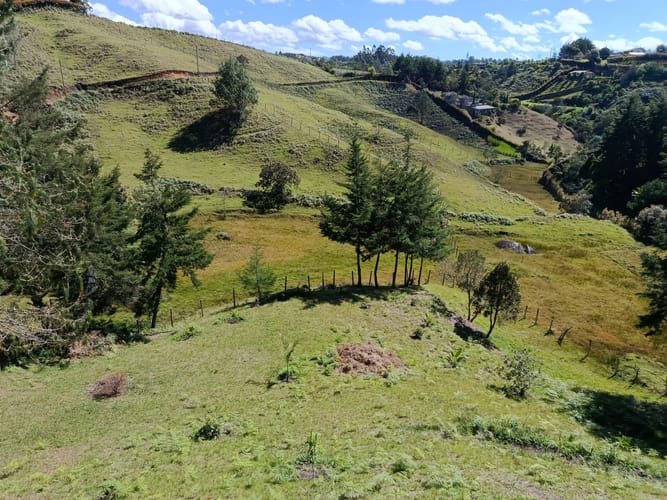Finca en arriendo en Guarne, 120 m² · foto 7 de 19
