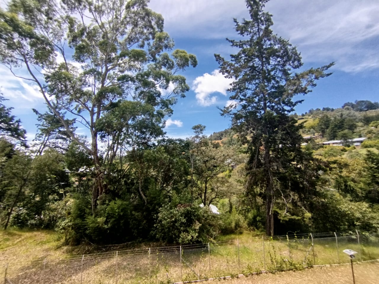 Apartamento en arriendo en Sajonia, Rionegro · foto 13 de 19
