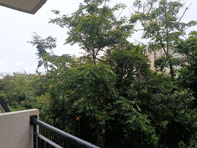 Apartamento en arriendo en El Porvenir, Rionegro · foto 13 de 13