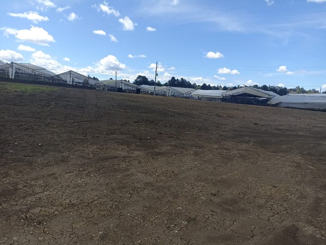 Lote en arriendo en El Porvenir, Rionegro, 5400 m² · foto 10 de 10
