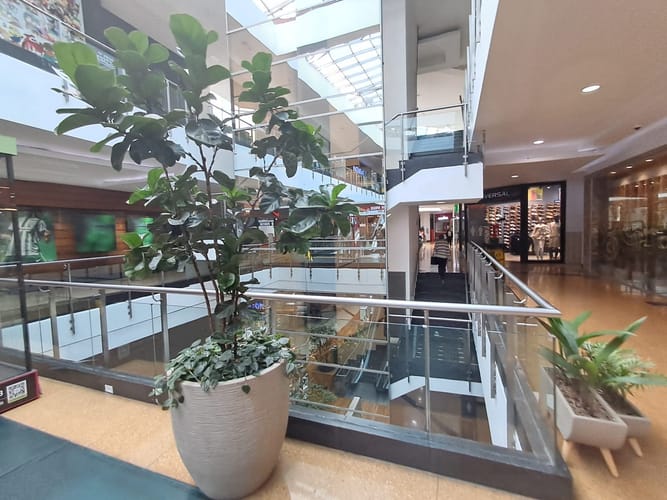 Local en arriendo en Perpetuo Socorro, Medellín, 32 m² · foto 9 de 11