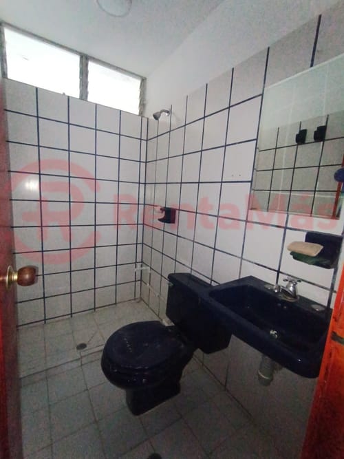 Oficina en arriendo en Centro, Cúcuta, 30 m² · foto 9 de 11