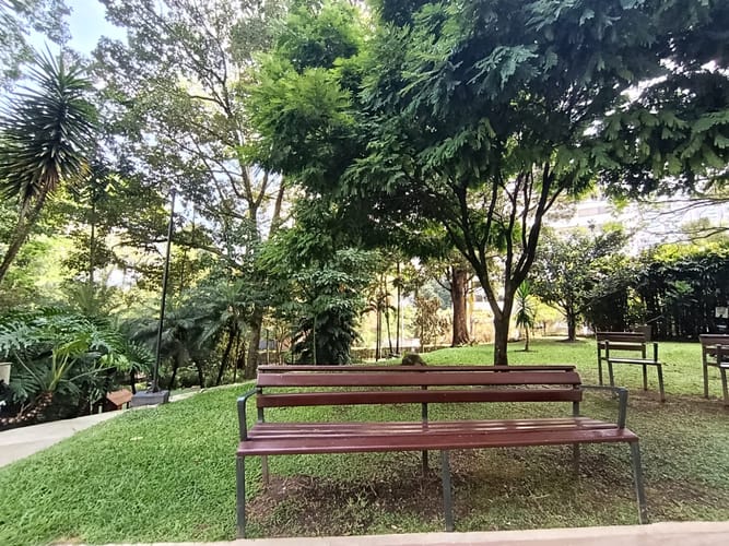 Apartamento de 3 alcobas en arriendo en El Poblado, Medellín, 126 m² · foto 18 de 20