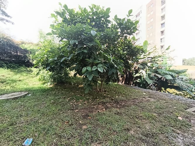 Local en arriendo en El Porvenir, Rionegro, 80 m² · foto 2 de 11