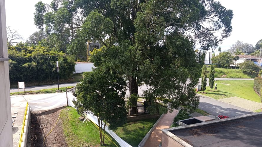 Local en arriendo en El Porvenir, Rionegro, 50 m² · foto 9 de 10