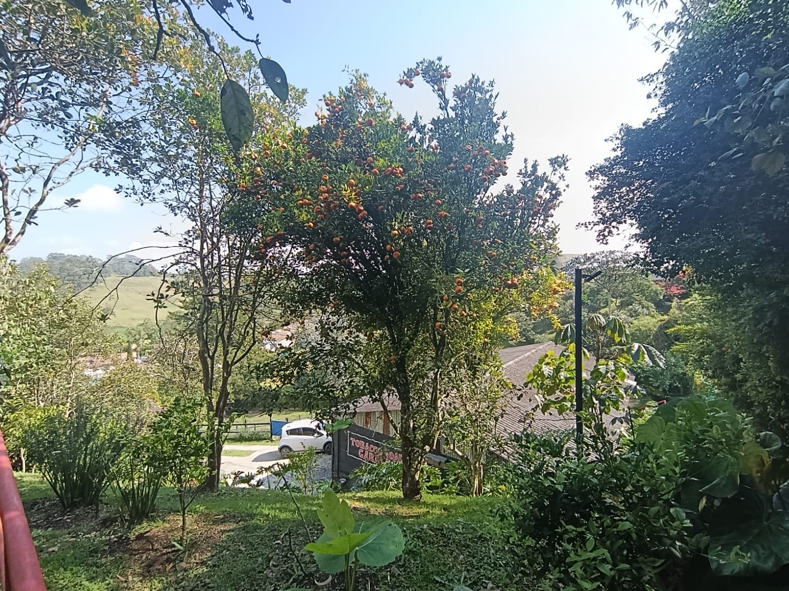 Bodega en Arriendo en El porvenir, Rionegro