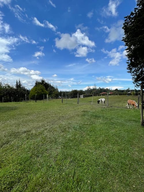 Finca en arriendo en El Porvenir, Rionegro, 230 m² · foto 17 de 20