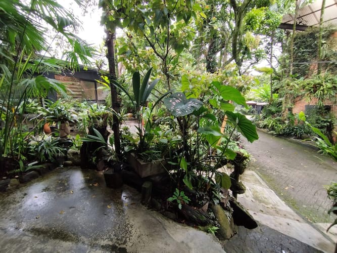 Local en arriendo en El Poblado, Medellín, 74 m² · foto 13 de 15