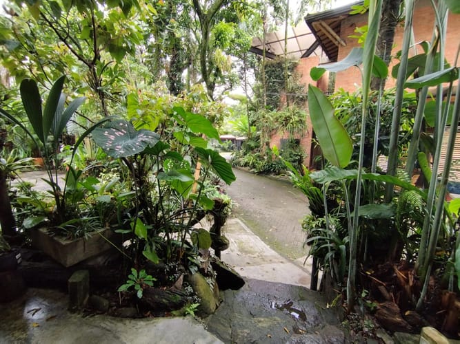 Local en arriendo en El Poblado, Medellín, 74 m² · foto 14 de 15